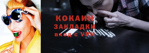 дживик Майский