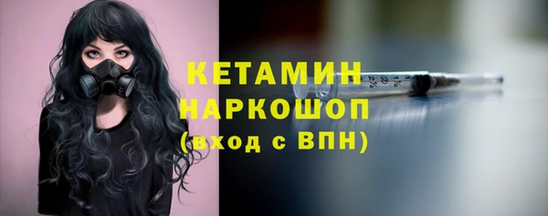 крисы Чердынь