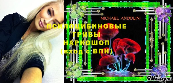 Альфа ПВП Чегем