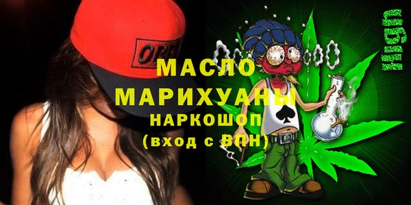 крисы Чердынь
