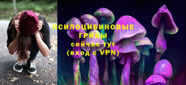дживик Майский