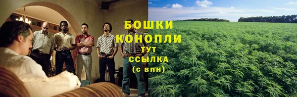 крисы Чердынь