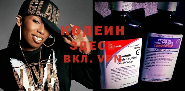 крисы Чердынь