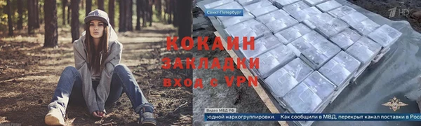 крисы Чердынь