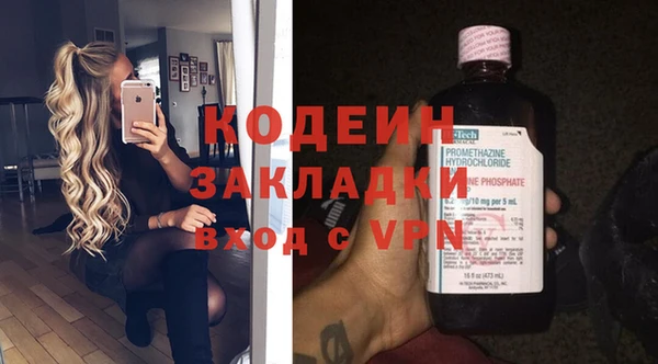 крисы Чердынь
