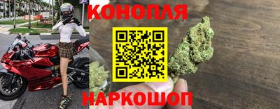 шишки Волжский