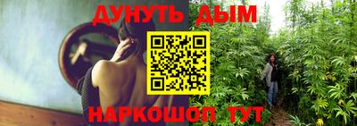 шишки Волжский