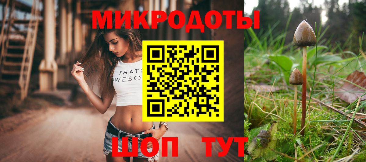Псилоцибиновые грибы Psilocybine cubensis  Вход с VPN  Звенигород  Галлюциногенные грибы Psilocybine cubensis 