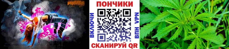 Канабис план  где продают наркотики  Звенигород 